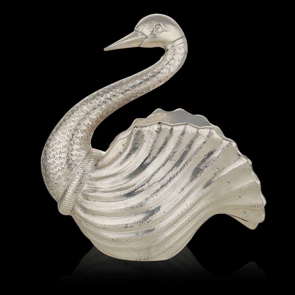 Silver-Clad Swan with Open Feathers