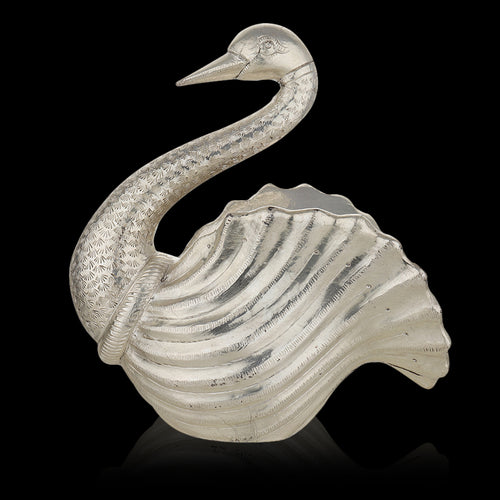 Silver-Clad Swan with Open Feathers