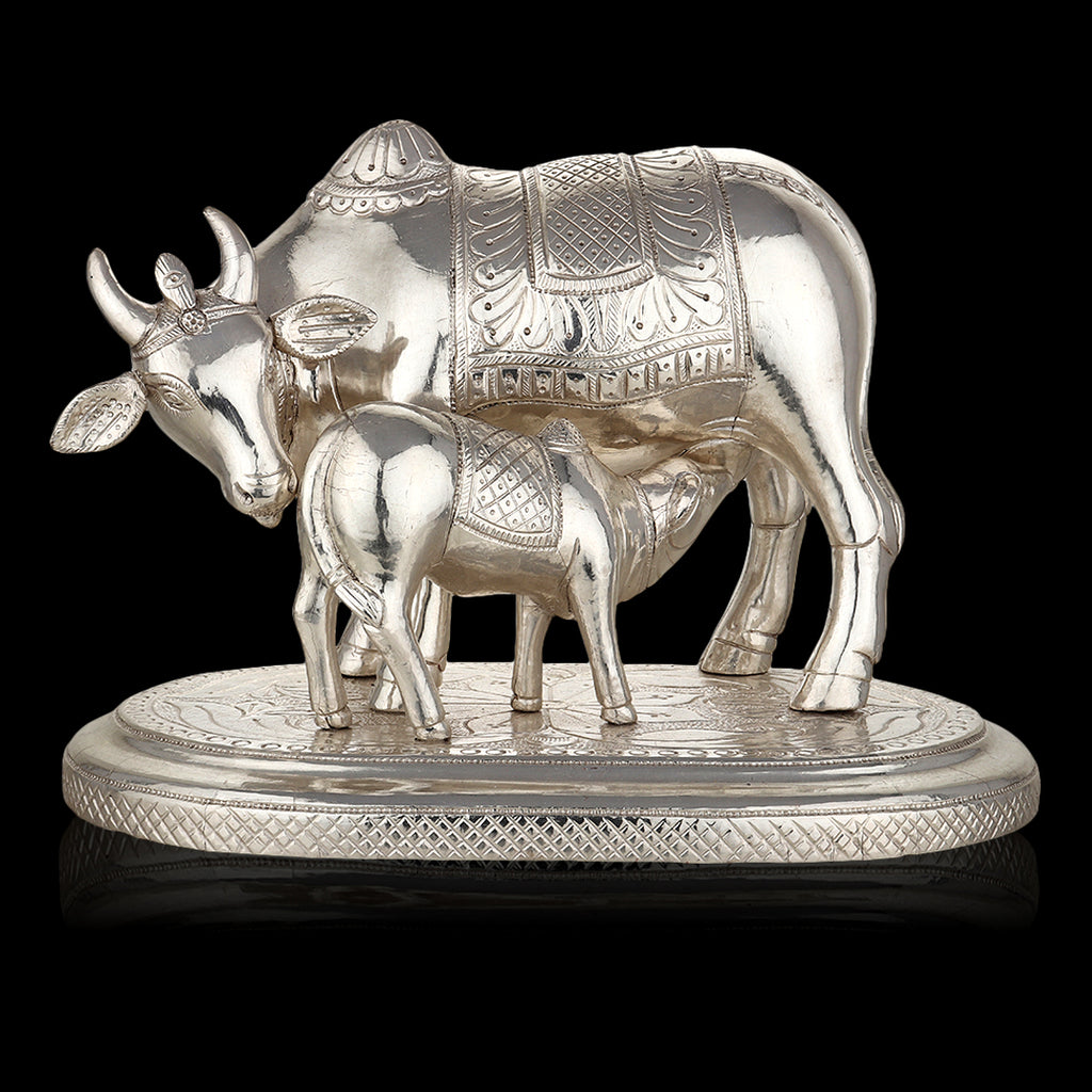 Silver-Clad Cow and Calf
