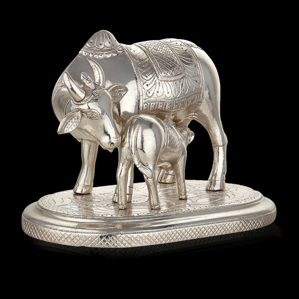 Silver-Clad Cow and Calf
