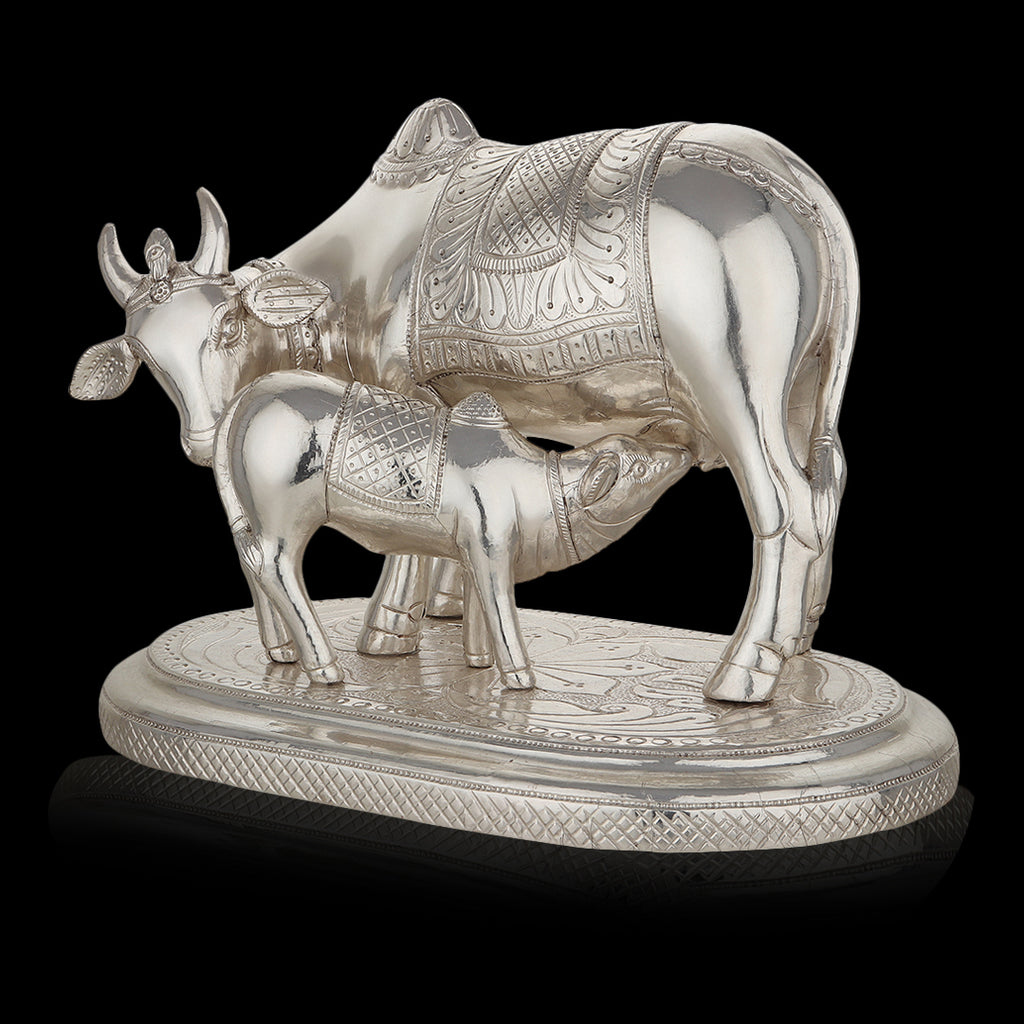 Silver-Clad Cow and Calf