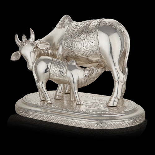 Silver-Clad Cow and Calf