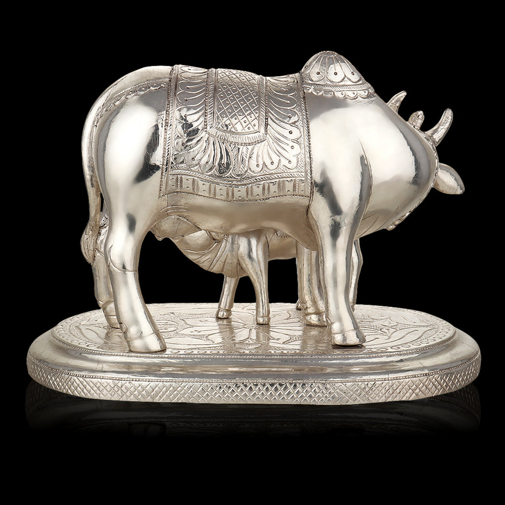 Silver-Clad Cow and Calf