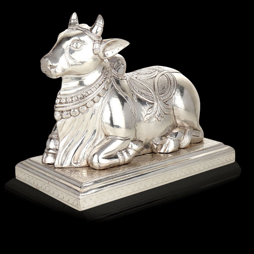 Silver-Clad Nandi