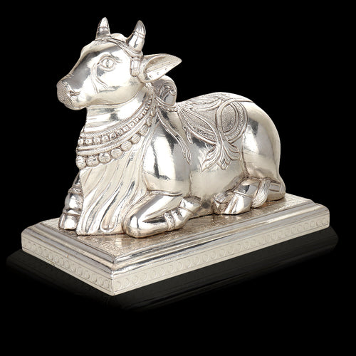 Silver-Clad Nandi