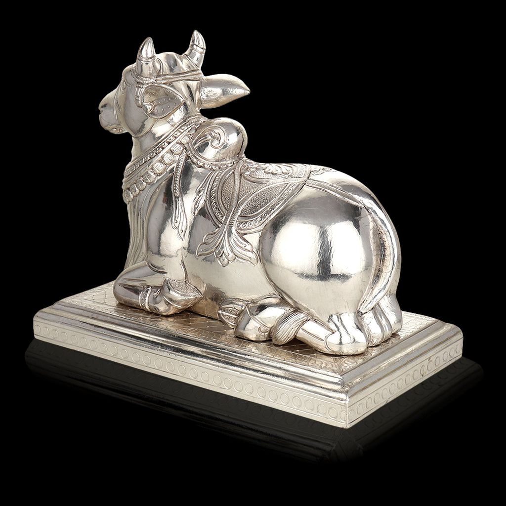 Silver-Clad Nandi
