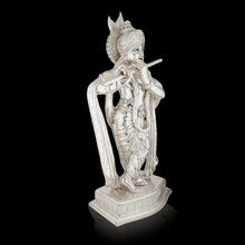 Load image into Gallery viewer, Silver-Clad Krishna Ji